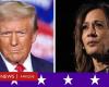 Donald Trump o Kamala Harris: come si stanno delineando i risultati elettorali e cosa sta succedendo negli stati chiave che definiscono la battaglia per la Casa Bianca