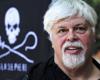 Questa città srotola un enorme striscione a sostegno di Paul Watson