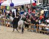 Maine-et-Loire. Mancano pochi giorni all'apertura del Salone del Cavallo di Angers