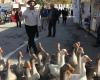 Fiere di Saint-Martin nel Gers: un fine settimana di festa a Lectoure e L'Isle-Jourdain