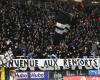 Gli ultras dello Charleroi non vogliono più Bayat e preparano azioni per chiedere “la partenza di questa mafia” – Tutto il calcio