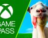 Xbox Game Pass: arriva oggi nel servizio un nuovo gioco pieno di bug! | Xbox