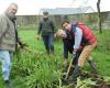 Villaines-la-Juhel. Una serata culinaria attorno alle verdure il 13 novembre