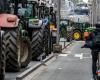 “La tazza è di nuovo piena”: i giovani agricoltori si sono attivati ​​sulle strade della Vallonia