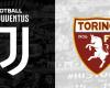 La Juventus ufficiale affronterà il Torino: Vlahovic e Yildiz partono insieme