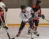 Una partita alla scoperta dell'hockey su ghiaccio allo stadio del ghiaccio di Le Mans