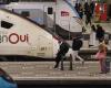 Gatto di due donne bordolesi schiacciato da un treno: SNCF liberata in appello