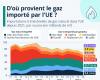 Grafico: principali fornitori di gas dell’Unione Europea nel tempo