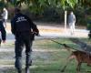 Scomparsa inquietante: uno studente ricercato in Doubs: News