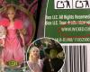 Un link sulle scatole delle bambole del film “Wicked” porta ad un sito porno… La Mattel si scusa