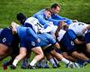 un nuovo dirigente dei Blues allontanato dai titolari per lo scontro contro gli All Blacks?