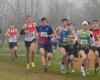 Centre-Finistère – 500 corridori attesi per la corsa campestre di atletica leggera di Quimper, lunedì 11 novembre