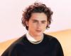 Aneddoto: Quella volta a Timothée Chalamet fu chiesto di ingrassare