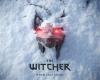 The Witcher 4: la scheda GOG del gioco rivela uno strano segnaposto | Xbox