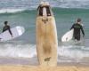 Secondo i ricercatori australiani, illuminare la tavola da surf aiuta a ridurre il rischio di attacchi di squali bianchi