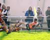 Fette d'arancia: i Crabos del Narbonnais Racing club affrontano Perpignan