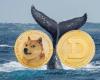 Il ritorno esplosivo di Dogecoin: $ 0,41 oggi, $ 2,40 domani?