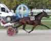 Ginostrabliggi protagonista del Gran Premio Anact di Torino