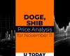 Previsione dei prezzi DOGE e SHIB per l’11 novembre