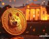 Trump e Dogecoin, una vittoria che elettrizza le criptovalute