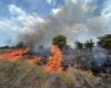 Un violento incendio devasta la vegetazione nei pressi dell'aerodromo di Koné