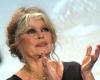 Sposata quattro volte, Brigitte Bardot racconta la sua vita sentimentale: “Non ho mai…”