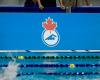 Swimming Canada annuncia il nuovo consiglio di amministrazione