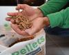 L'associazione pellet-granuli del Tarn vuole creare una fabbrica di produzione di pellet