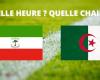 Guinea Equatoriale – Algeria: a che ora e su quale canale vedere la partita in diretta?