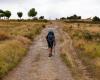 L’Università Saint Paul prende la strada per Compostela