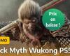 Valutato 16/20 su PS5, Black Myth Wukong arriva a un prezzo ridotto per il preordine