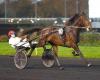 Giovedì 14/11 a Vincennes – Prix Agathe: Il Biglietto Verde è lì