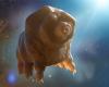 Gli scienziati cinesi hanno fatto un'incredibile scoperta sui tardigradi che potrebbero proteggerci nello spazio