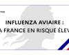 Influenza aviaria: la Francia è ad alto rischio dal 9 novembre 2024 – Influenza aviaria – Animali – Azioni dello Stato