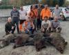 Un cinghiale di 167 kg nel Lot et Garonne