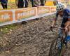 Il grande gruppo colora il Superprestige Merksplas, ma Alvarado rimane calmo e accelera verso la vittoria in un momento intelligente