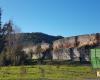 Una foresta urbana cresce sulle rive del Lot, a Cahors