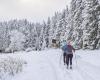 Giurò. Il massiccio si prepara alla lenta scomparsa della neve