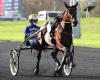 I primi 3 giornalisti Equidia per le gare del Prix de BretagneAmérique Q1 a Vincennes