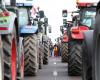 Basso Reno. Manifestazione degli agricoltori: lunedì difficoltà di circolazione