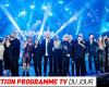 Programma TV: Starmania: l'evento dell'anniversario, Francia / Nuova Zelanda… cosa guardare in TV stasera?