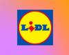 Lidl mette a segno un colpo grosso con queste 3 offerte Parkside a prezzi mai visti prima