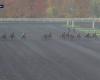 PRIX DE CASSIS – PARIGI-VINCENNES – 18/11/2024: partenti, pronostici e risultati in video – Gara 5