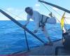 Molare, tagliare, levigare, incollare, laminare: Louis Burton il MacGyver del Vendée Globe [Vidéo]