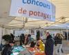 Grande successo per il Potage des chefs di Puy-en-Velay con mille litri venduti