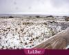 Meteo in Belgio: ecco dove e quando è prevista la prima nevicata questa settimana