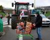 LIVE – La rabbia degli agricoltori: “85 punti dimostrativi” in tutta la Francia, secondo la FNSEA