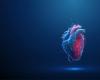 La forma del cuore può predire il rischio cardiovascolare?