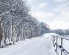 Meteo: le previsioni parlano chiaro, questa settimana arriverà la neve