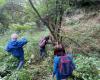 Un uomo morto da diverse settimane scoperto a Saint-Hilaire-sur-Helpe